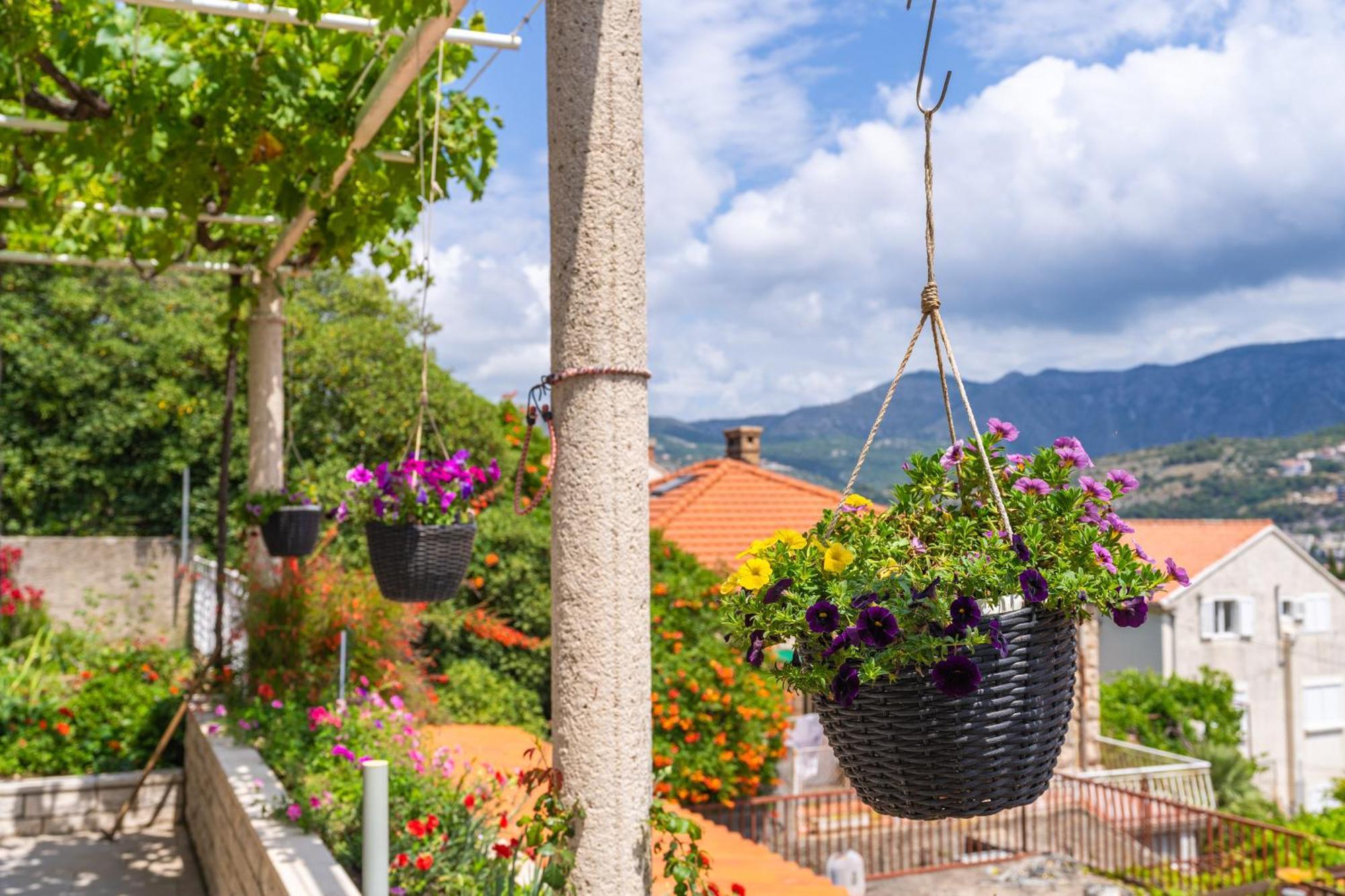 Apartments Lile Dubrovnik Dış mekan fotoğraf