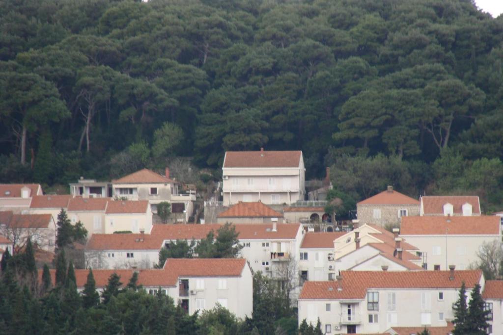 Apartments Lile Dubrovnik Dış mekan fotoğraf
